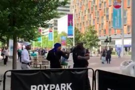 Julius Francis Knockout: Julius Francis Security Punches Man