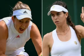 What happened with Ostapenko and Tomljanovic? What did Ostapenko say to Tomljanovic?