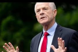 Peter Navarro Net Worth