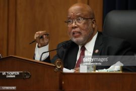 Bennie Thompson Place Of Birth: Where was Bennie Thompson born?