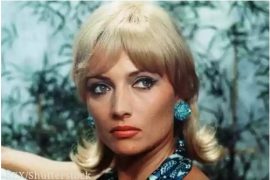 Jean Louis Trintignant First Wife: Who Was Stéphane Audran?