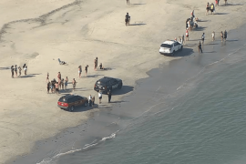 Missing Swimmer Wildwood NJ: Updates