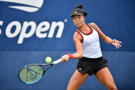Ann Li Parents: Where does Ann Li come from?