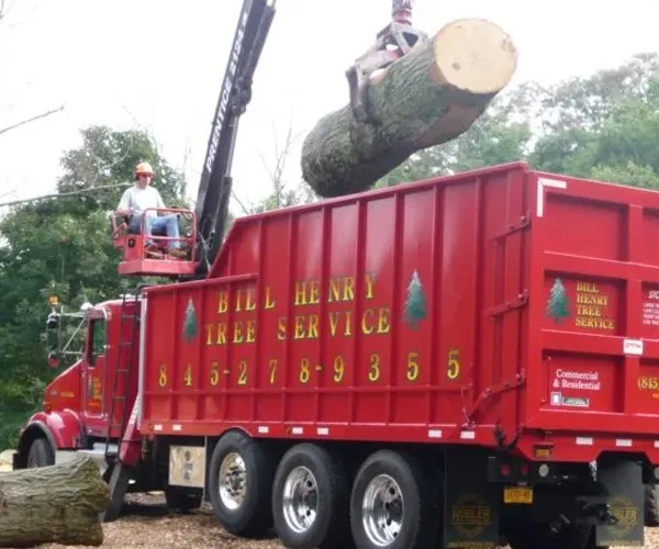 Bill Henry Tree Service Inc