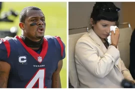 What did Deshaun Watson do to Ashley Solis?