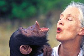 Prosopagnosia Celebrities: Does Jane Goodall have face blindness?