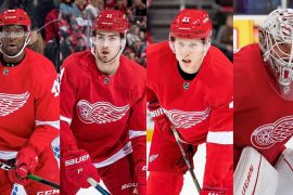Who owns Red Wings hockey?