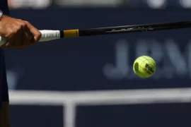 Wimbledon 2022: Ajla Tomljanović Vs Elena Rybakina Live Stream, How To watch, TV Channels, Time