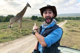 Does Coyote Peterson feel pain?