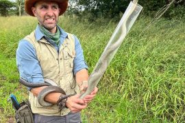 Coyote Peterson Real Name, Age, Salary, Wiki