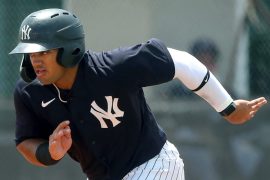 Jasson Dominguez Age, Trade, Jersey, Wiki, Speed, Prospect Ranking, Number