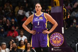 Why did Liz Cambage quit the Sparks?