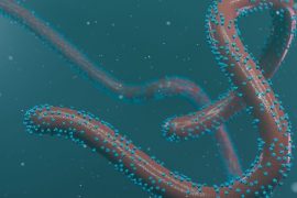 How did Marburg Virus Disease Start?