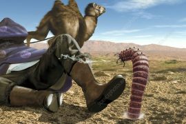Mongolian death worm Evidence: What does the Mongolian death worm look like?