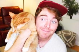 What did Shane Dawson do to his cat?