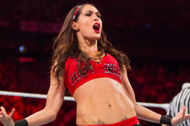 Why did Brie Bella leave WWE?