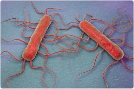 What is Listeria infection? How common is Listeria in ice cream?