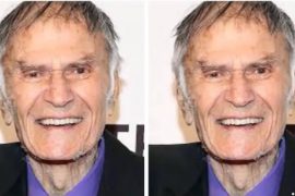 Larry Storch Family, Wife, Children