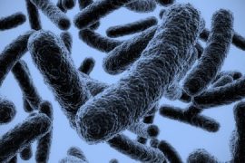 Big Olaf Ice Cream Listeria Outbreak: Can ice cream give you Listeria?