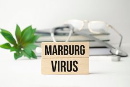 Marburg outbreak: WHO declares outbreak of the disease after two die in Ghana