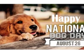 Who created National Dog Day? Why Dog Day is celebrated?