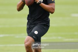 Is Josh Dobbs on a NFL team? What injury does Josh Dobbs have?