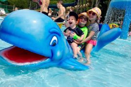Land Of Make Believe Accident: Child In Critical Condition