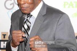 Is Earnie Shavers the hardest hitter?