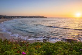 Is Bondi Beach Rich?