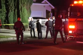 What caused Montebello stabbing?