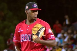 Elvis Peguero Net Worth: How Rich Is Elvis Peguero?