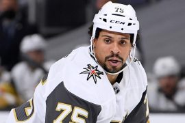 Ryan Reaves Salary: How much does Ryan Reaves Earn?