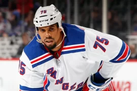 Ryan Reaves Net Worth
