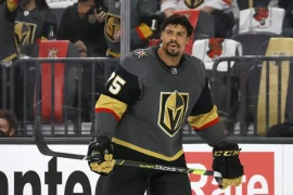Ryan Reaves Nationality: Where is Ryan Reaves From?
