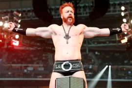 Sheamus Net Worth