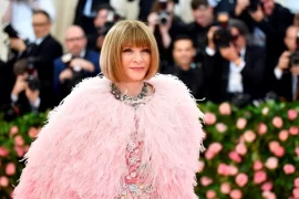 Does Anna Wintour Own Vogue? Did Anna Wintour Grow Up Rich?