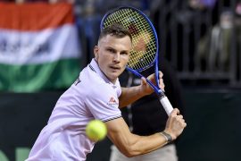 Márton Fucsovics Net Worth: What Is Márton Fucsovics Net Worth?