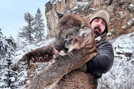 Derek Wolfe Former Broncos lineman hunts, kills mountain lion in Colorado
