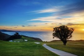 Can you drink at Torrey Pines Beach?