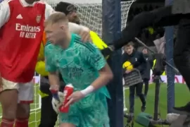 Who kicked Arsenal goalkeeper?