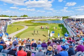 Why is Honda Classic suspended?