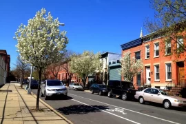 What famous people live in Carroll Gardens?