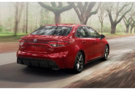 What does corolla mean? What does corolla mean in Japanese?