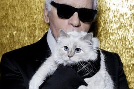 Is Karl Lagerfeld’s cat still alive? How much did Karl Lagerfeld leave to his cat? How rich is Karl Lagerfeld’s cat?