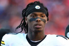 Martavis Bryant High School, College, Draft, Trade, Stats