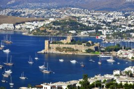 What US city has the highest Turkish population?