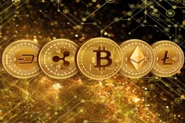 Which crypto wallet is best? Top Picks for the Best Crypto Wallets of March 2023