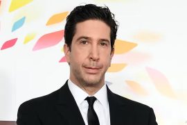 Who is David Schwimmer married to now?