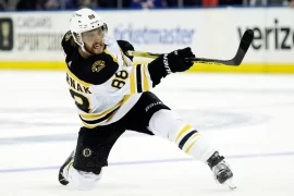 How many goals has David Pastrnak scored in his career? How many goals has David Pastrnak scored this year?