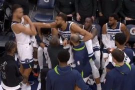 What did Rudy Gobert do to Kyle Anderson?